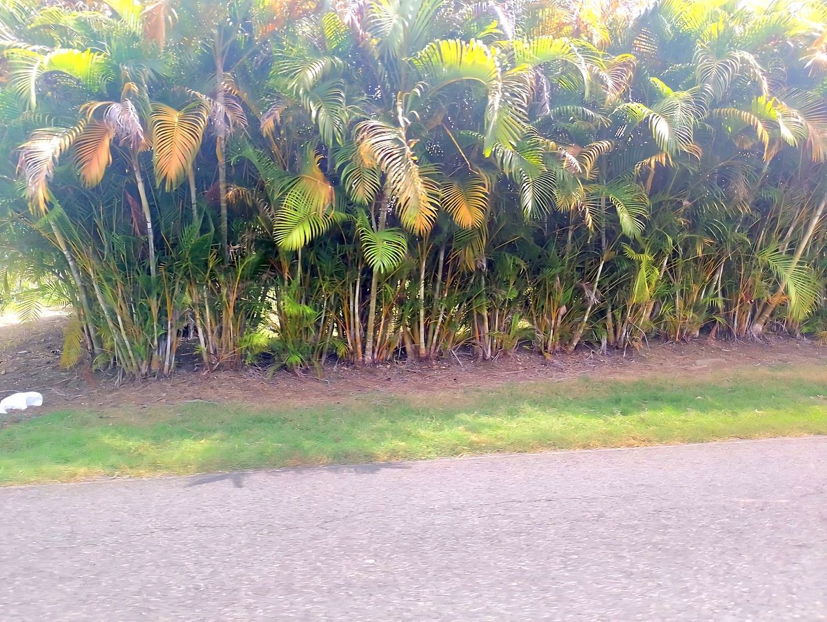 2 de 2