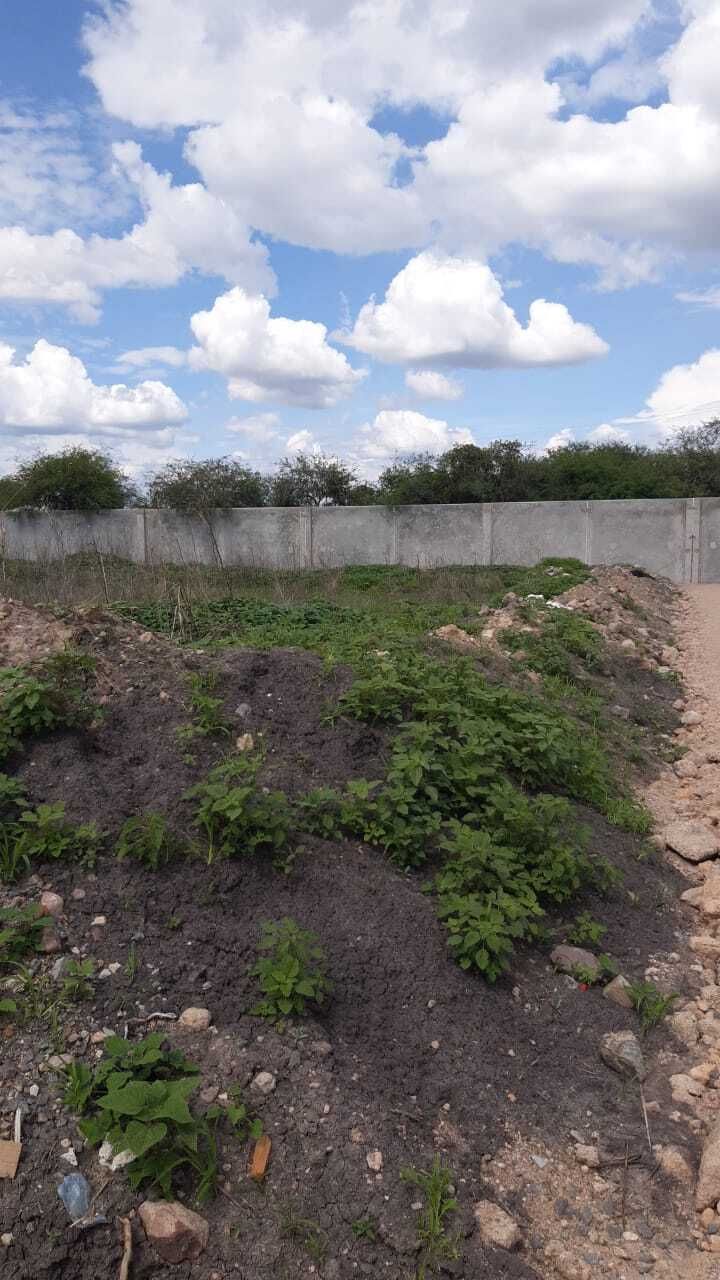 1 de 5