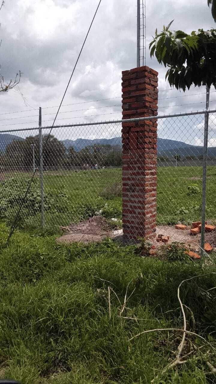 3 de 11