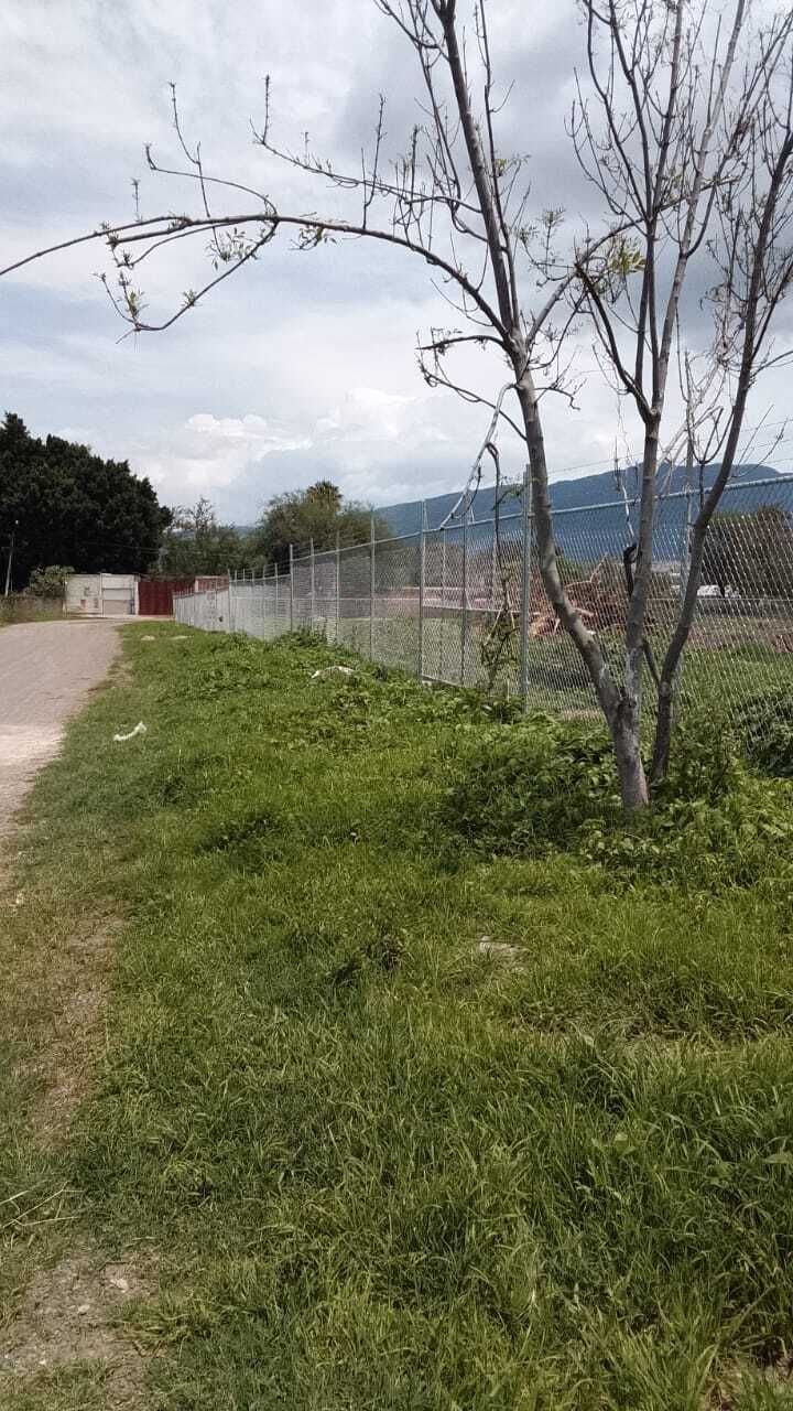 5 de 11