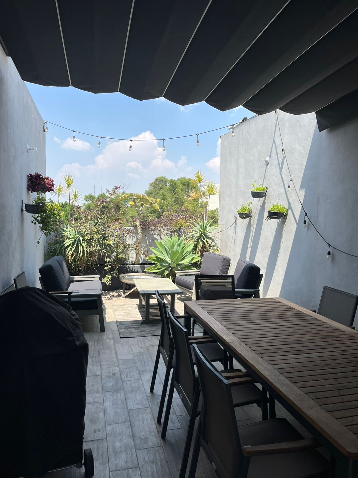19, Calle Zacatecas, Roma Norte, 06700 19, Calle Zacatecas, Roma Norte, 06700