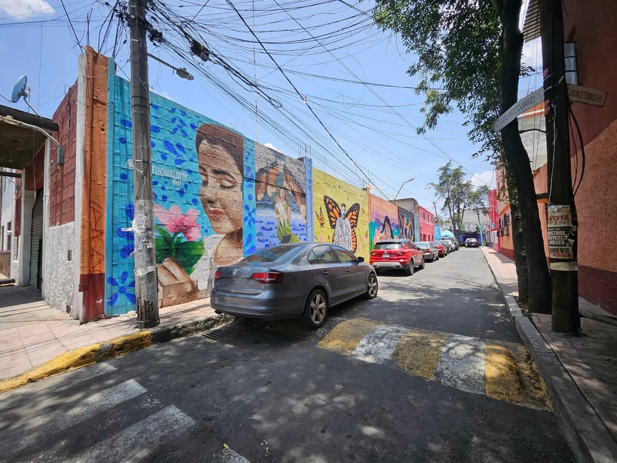 3 de 5: Terreno en Venta en Anáhuac Rayo Vende ®
