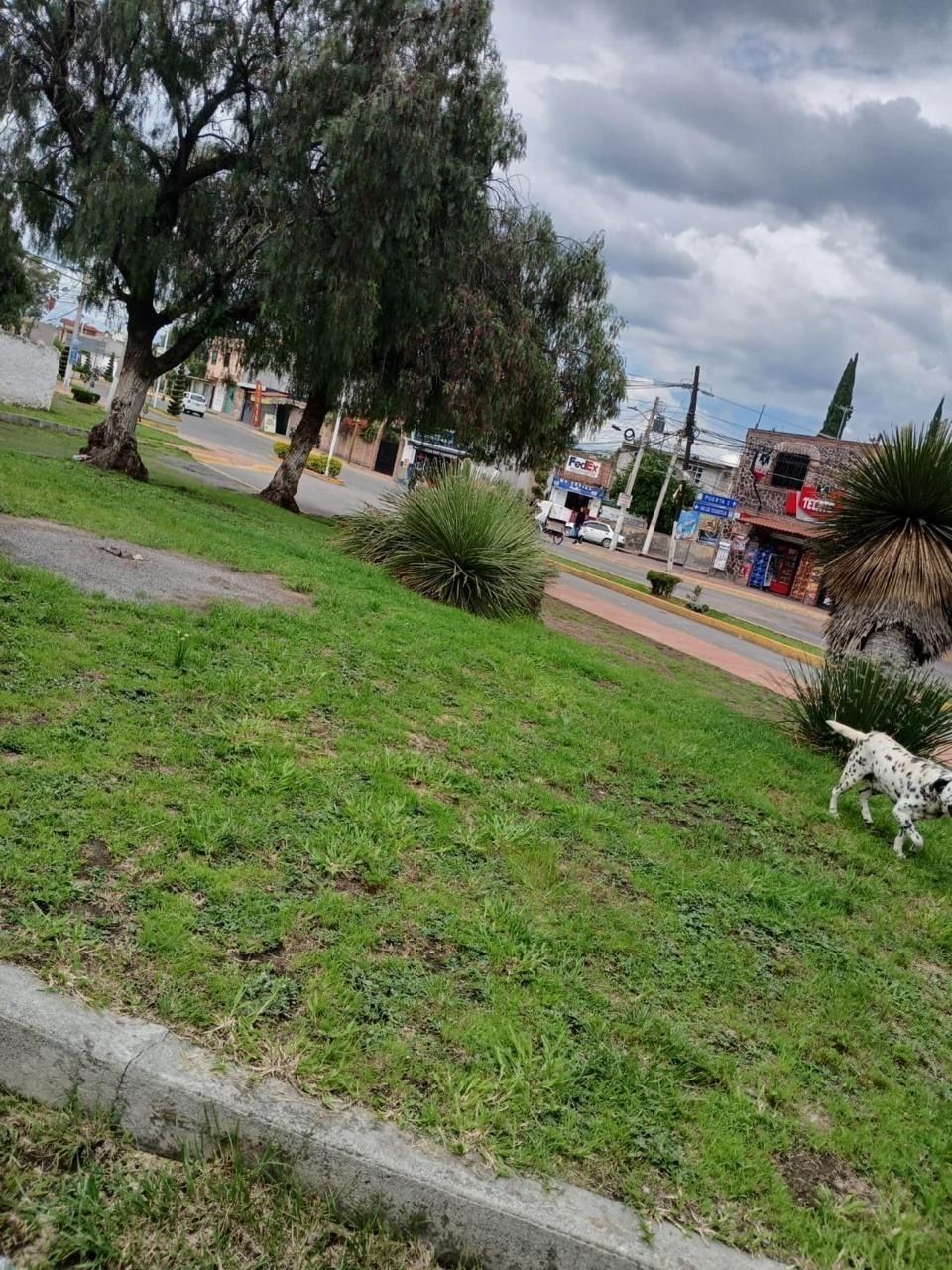 12 de 23