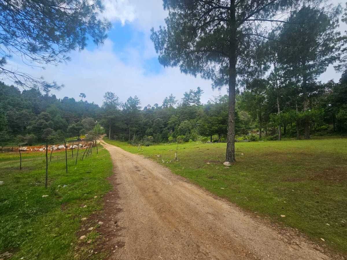 5 de 20