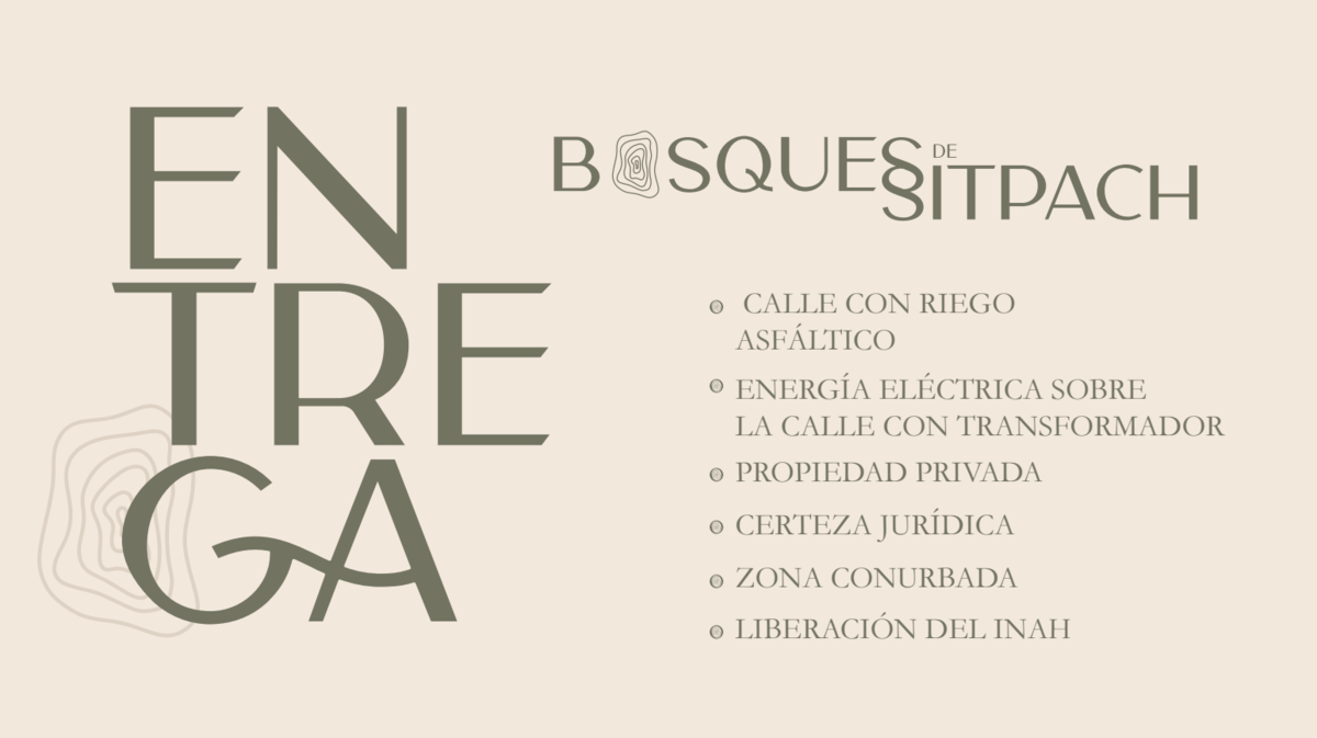 2 de 6
