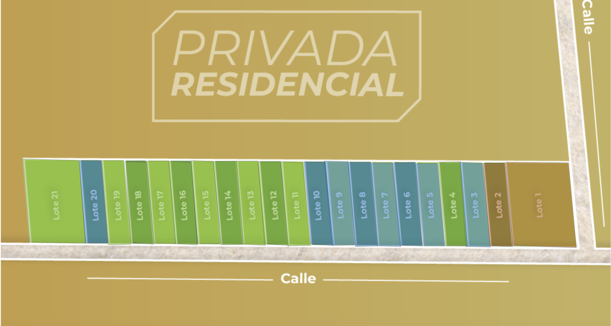 4 de 6