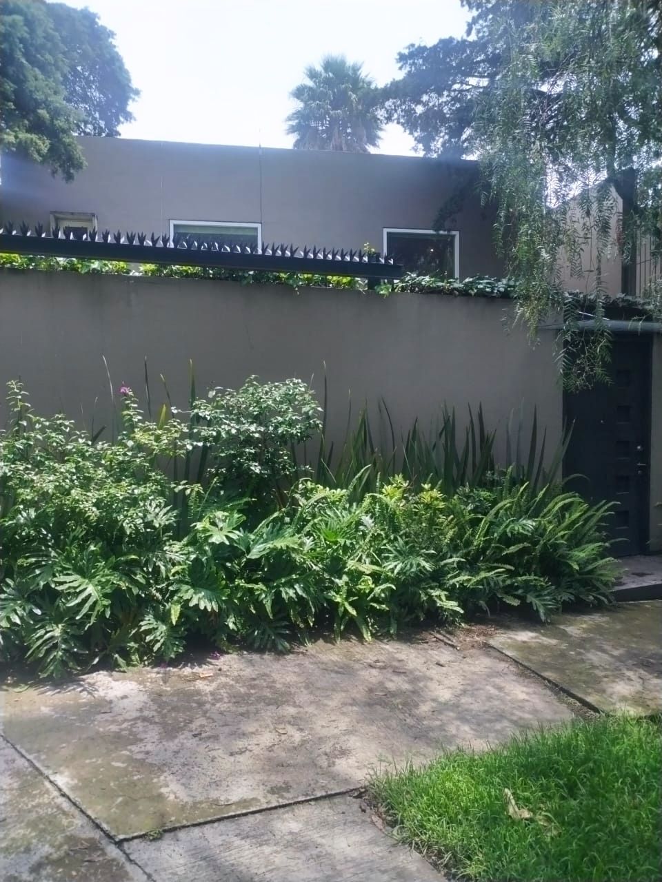 11 de 37