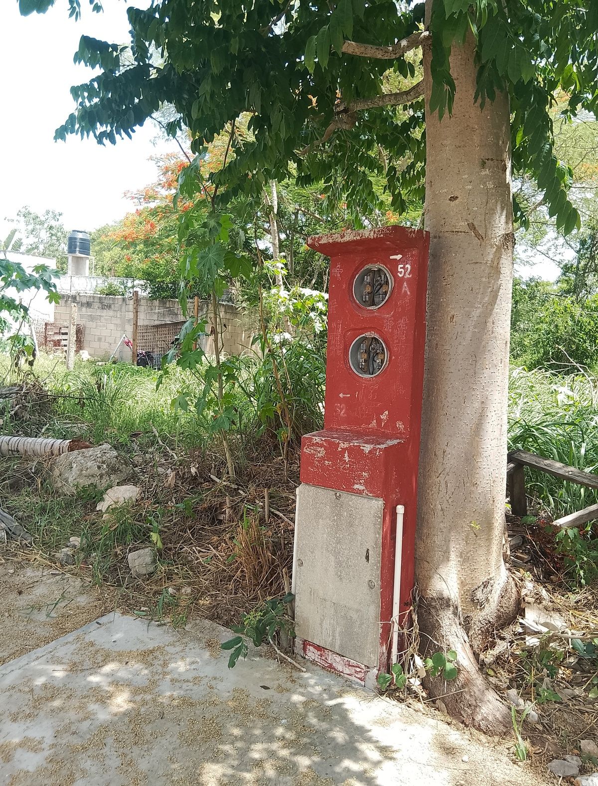 6 de 7