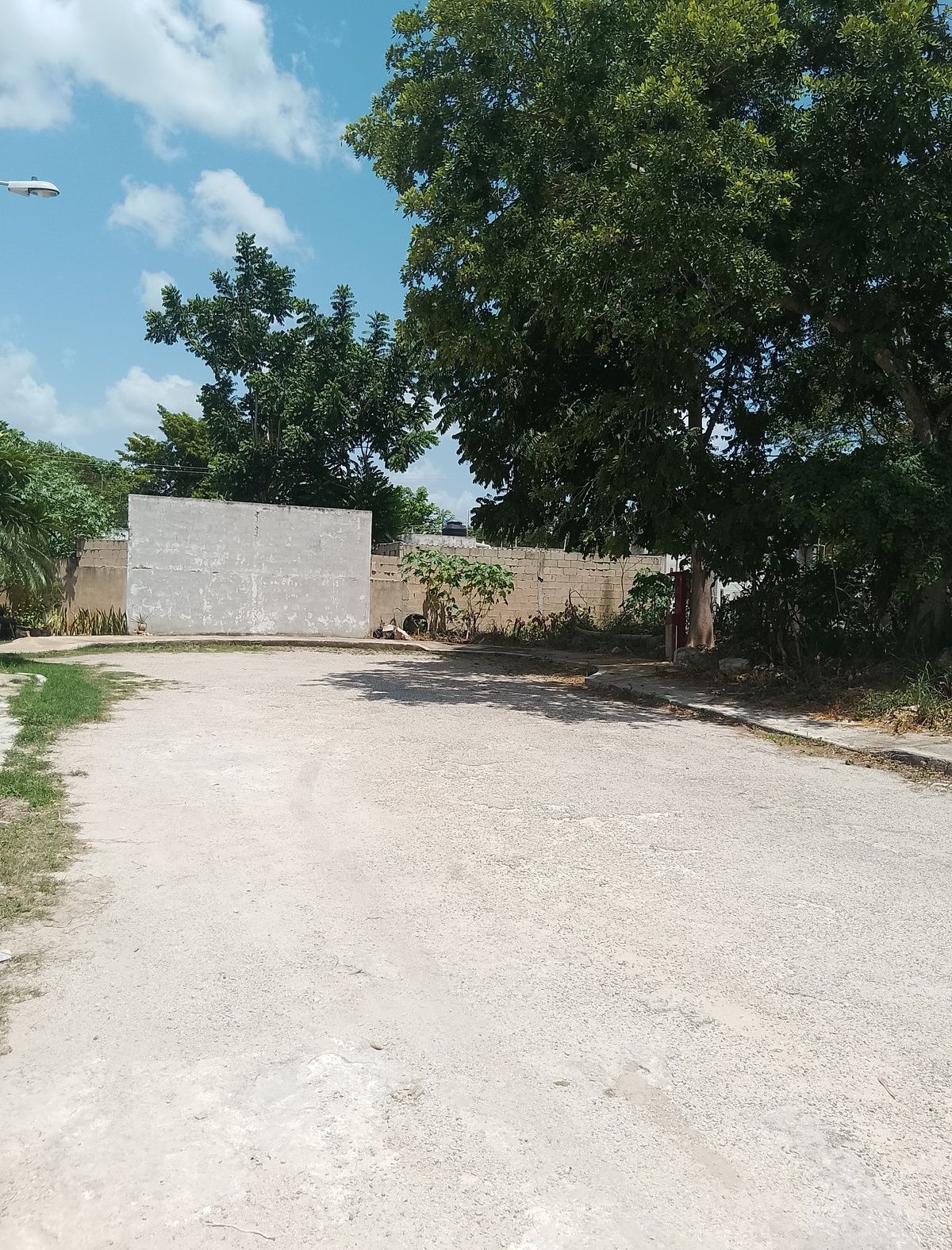 4 de 7