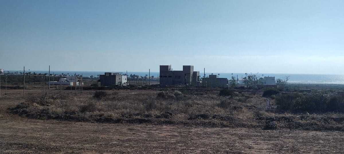 6 de 16