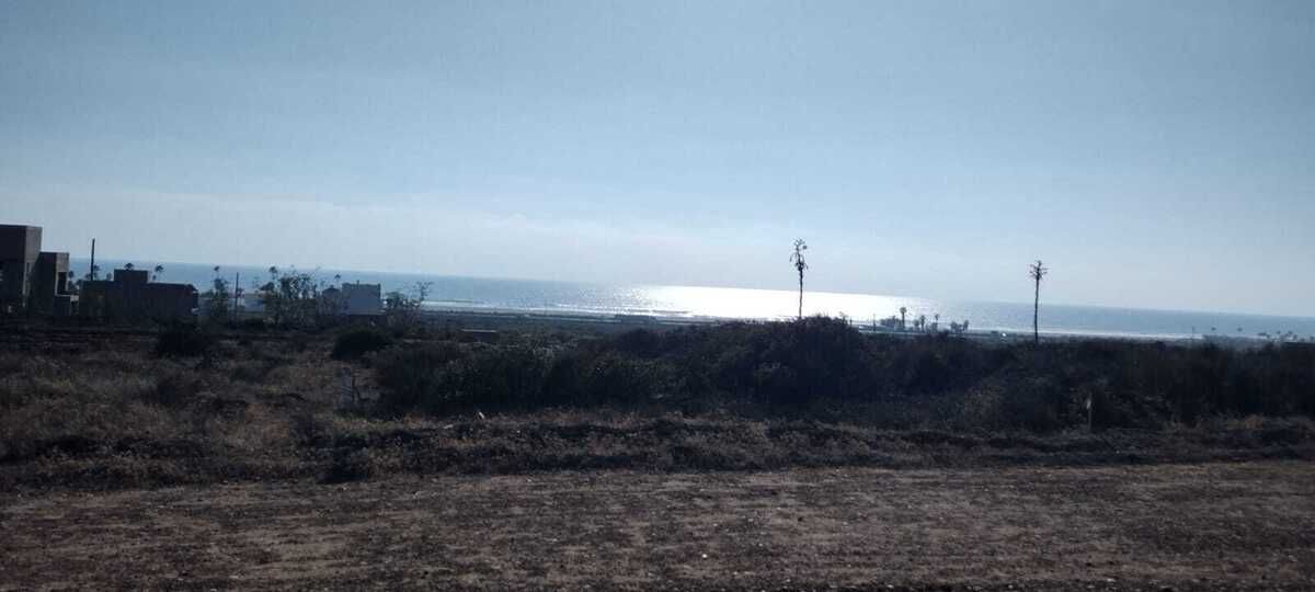 14 de 16