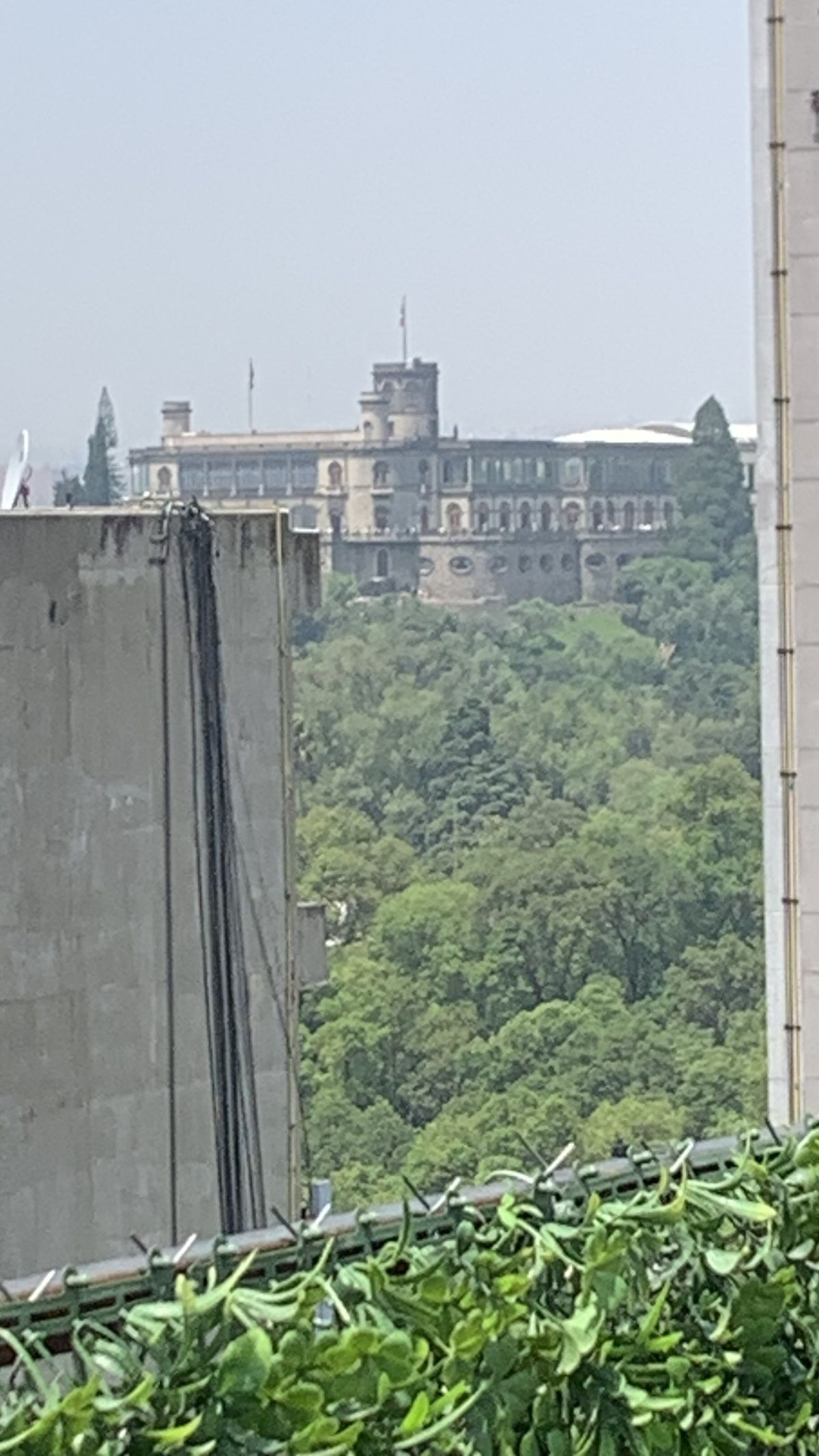 12 de 12