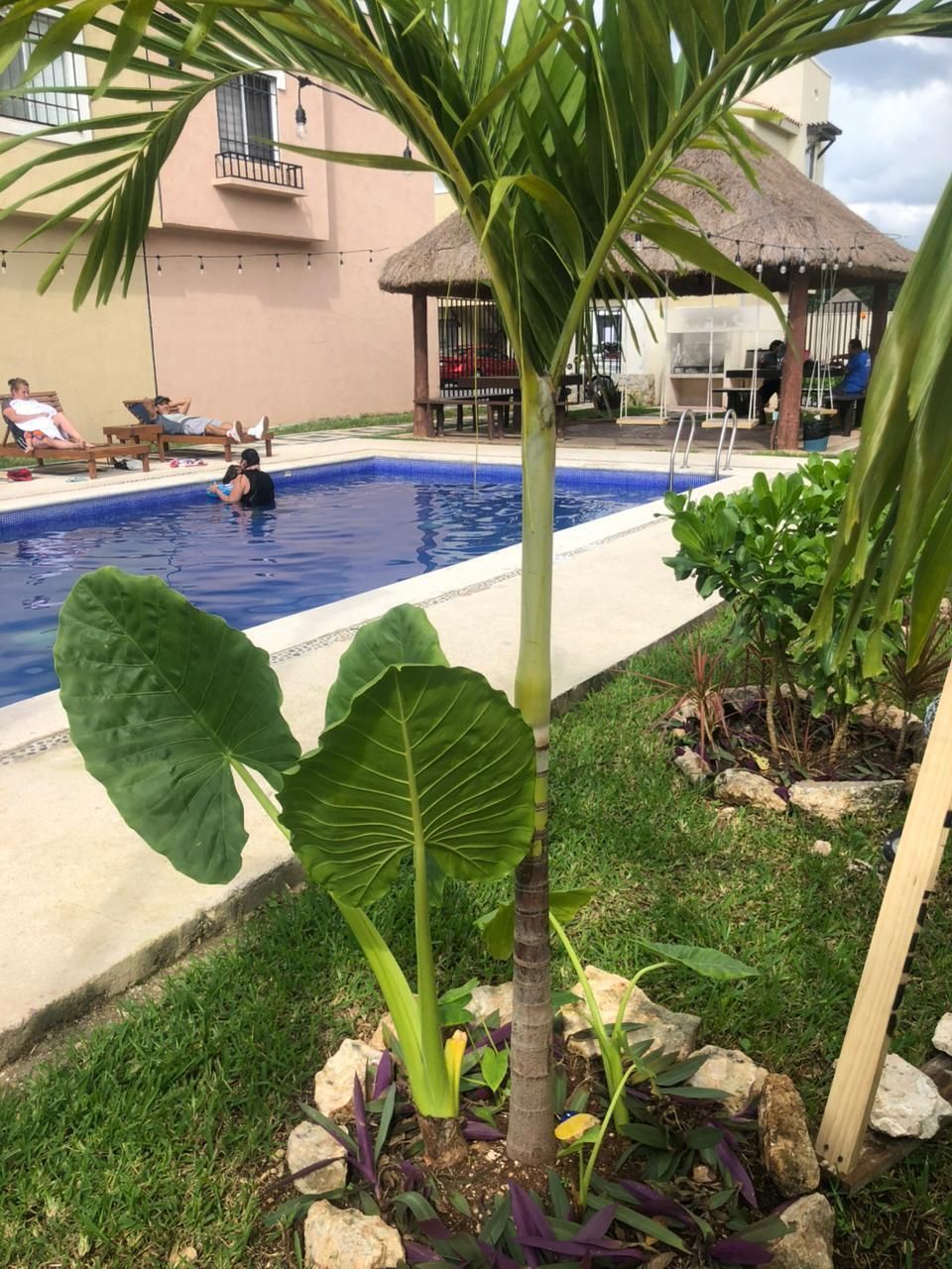 5 de 5