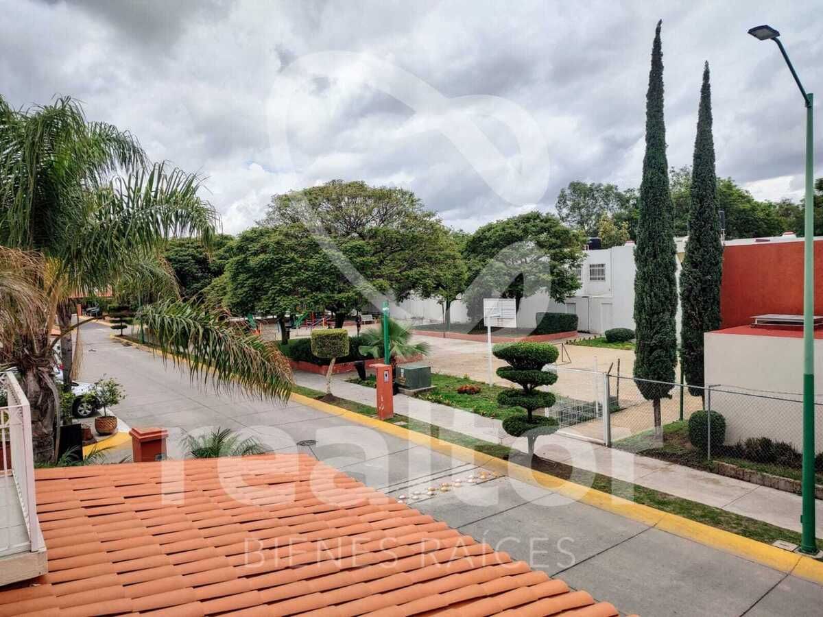 3 de 36