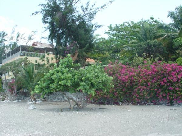 2 de 4