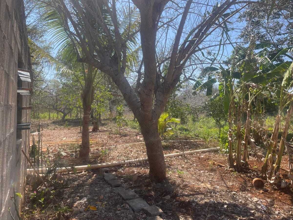 13 de 29