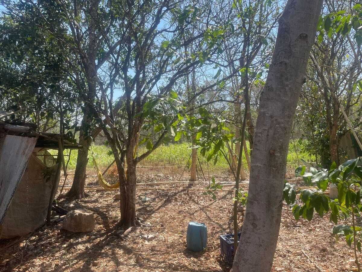 20 de 29