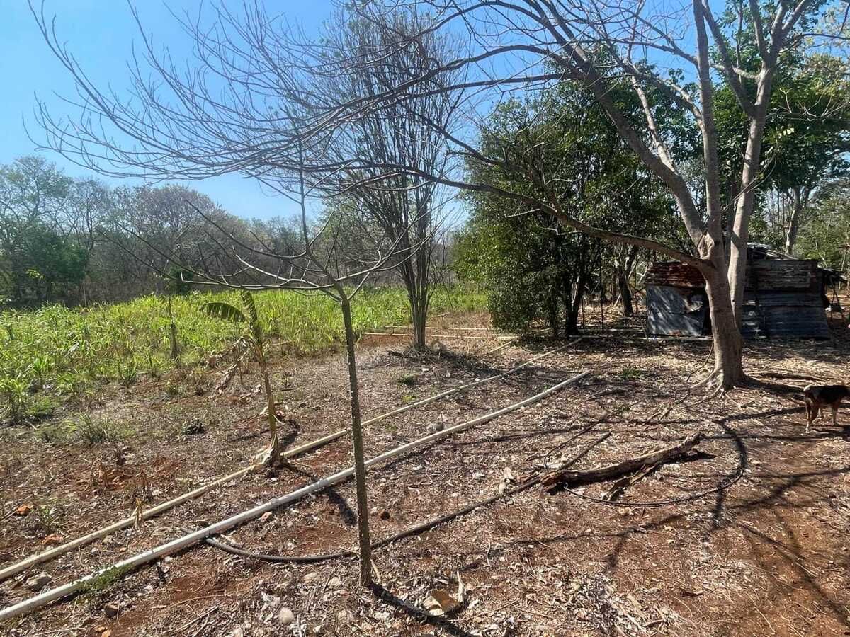 24 de 29