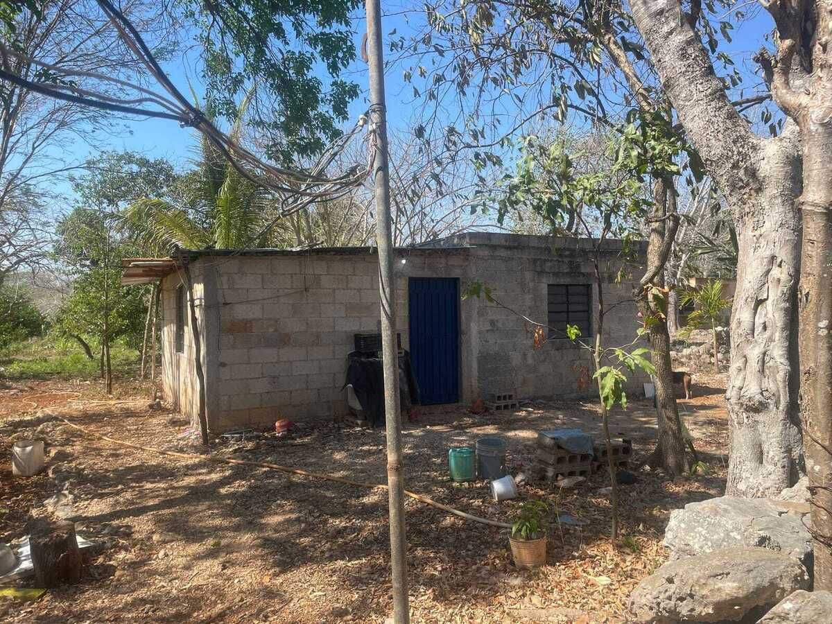 25 de 29