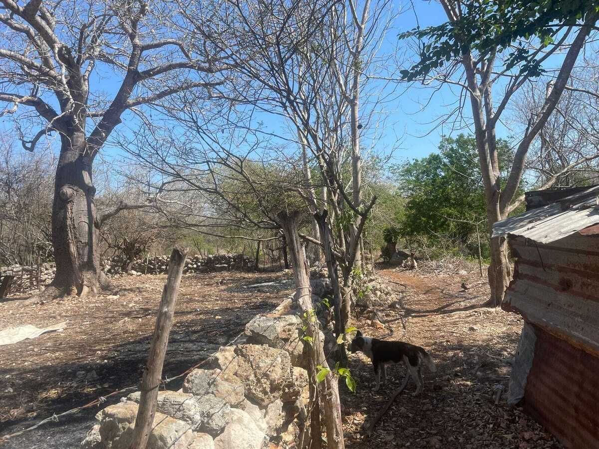 27 de 29