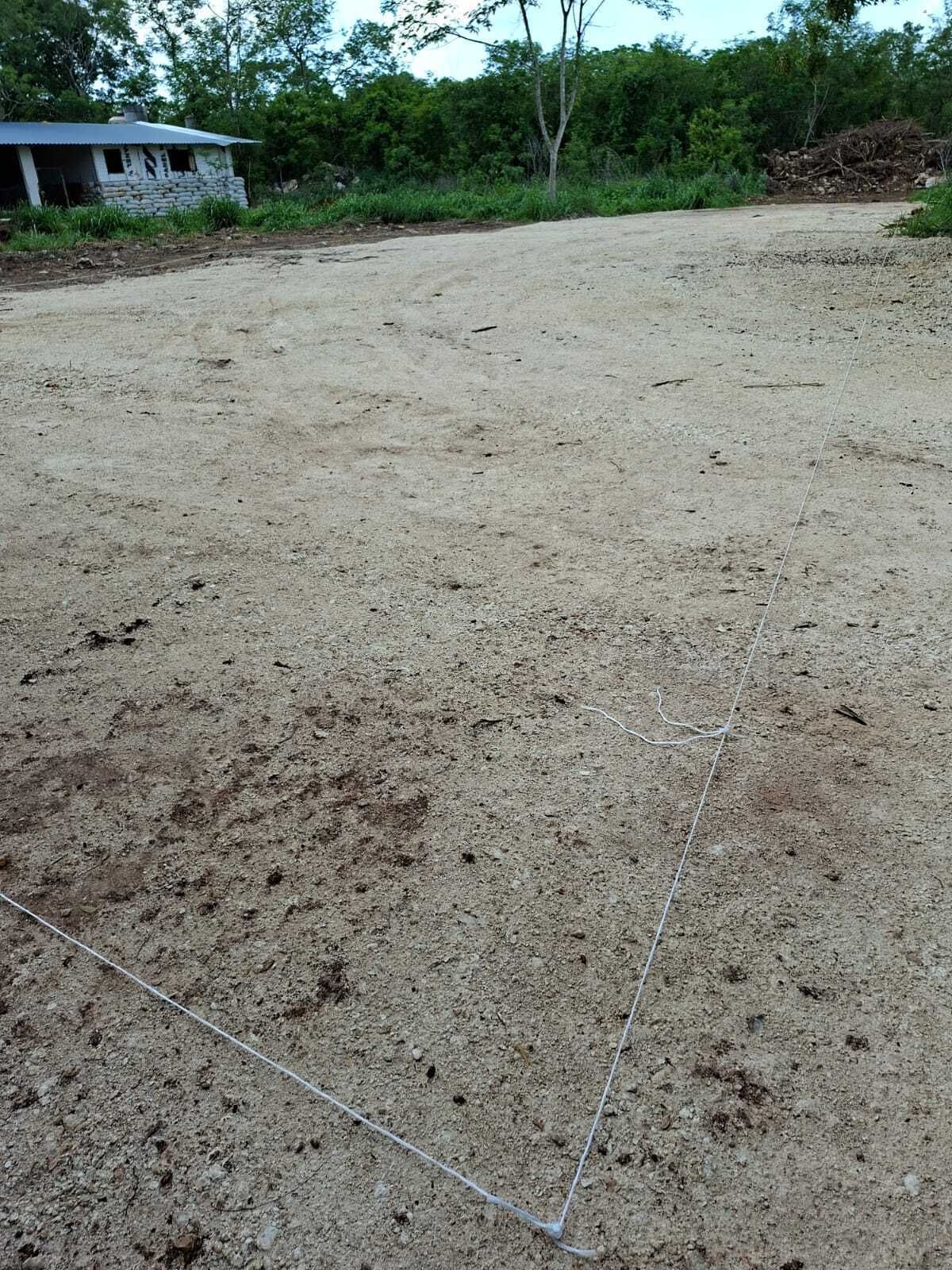 3 de 3