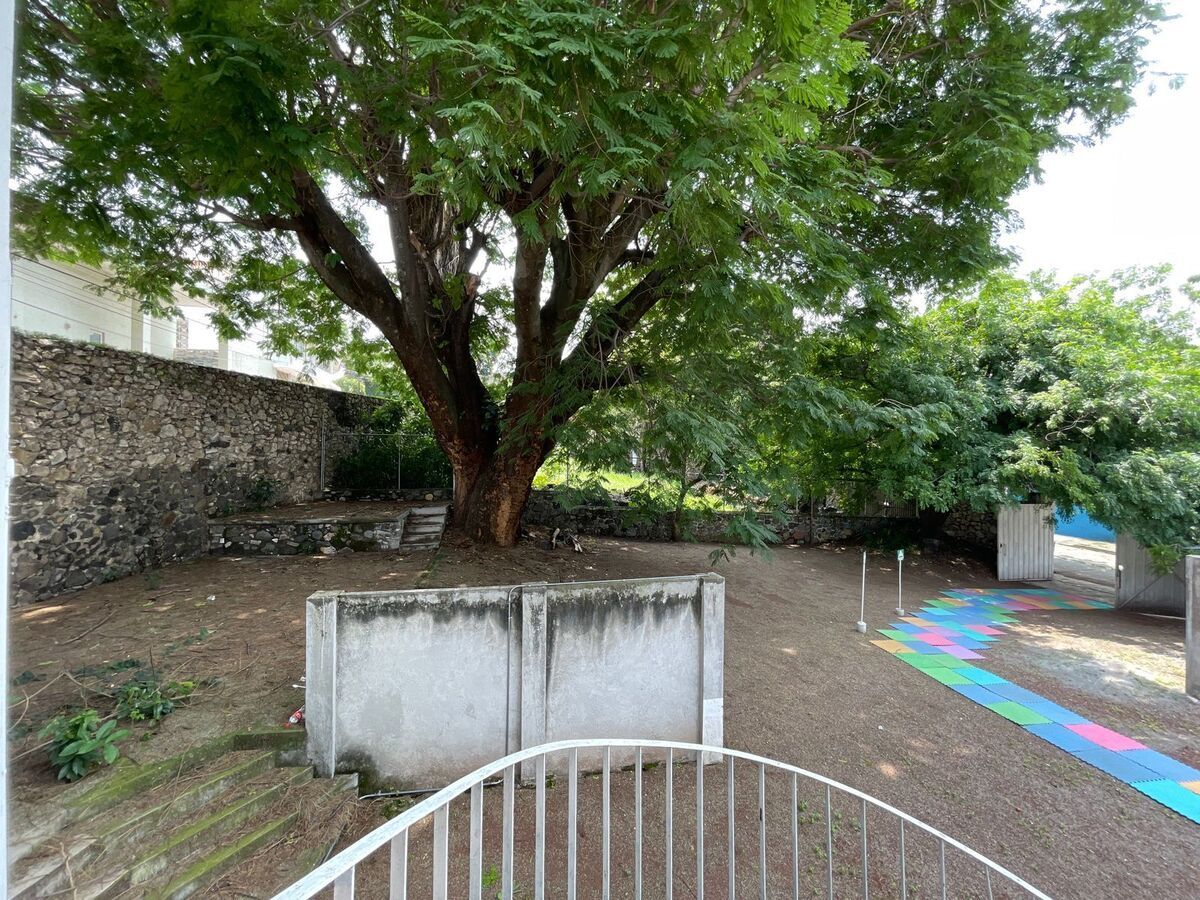 11 de 36