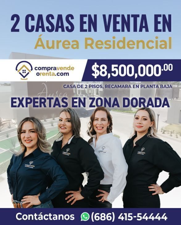 17 de 17