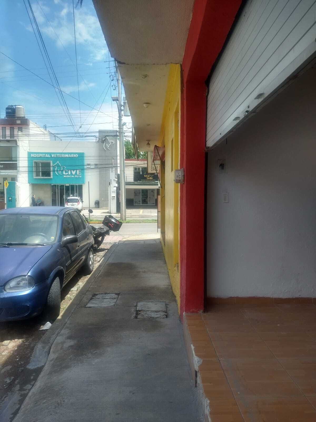 1 de 4