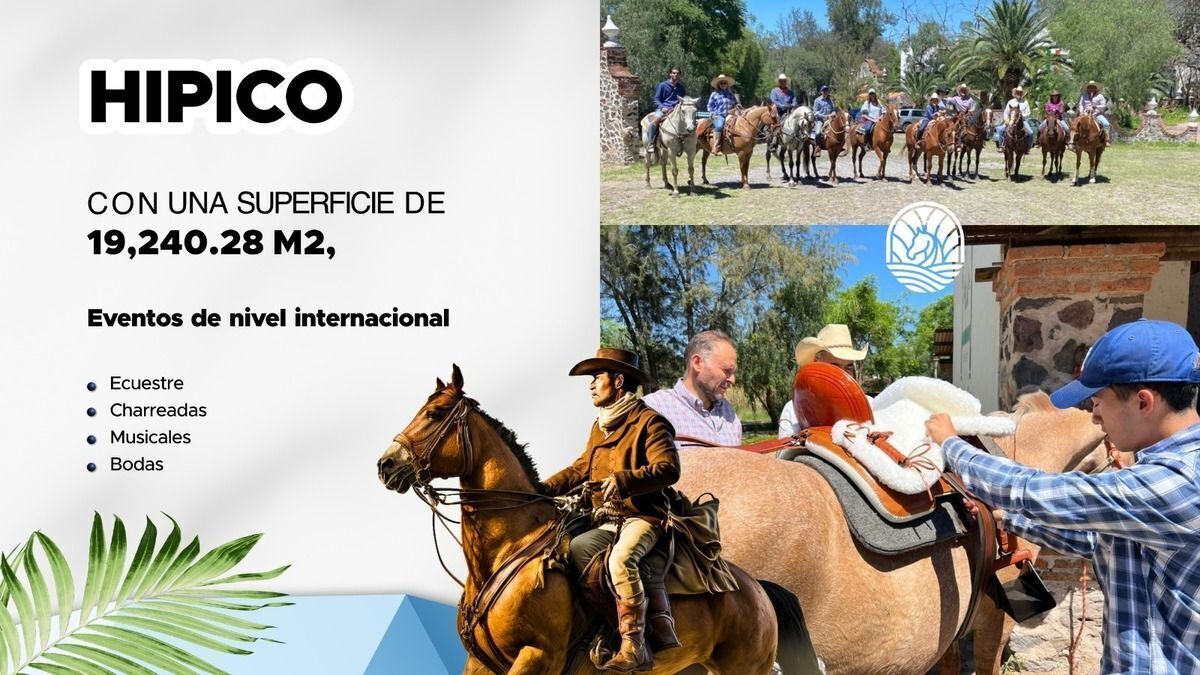 15 de 16