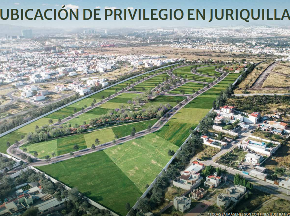 13 de 13