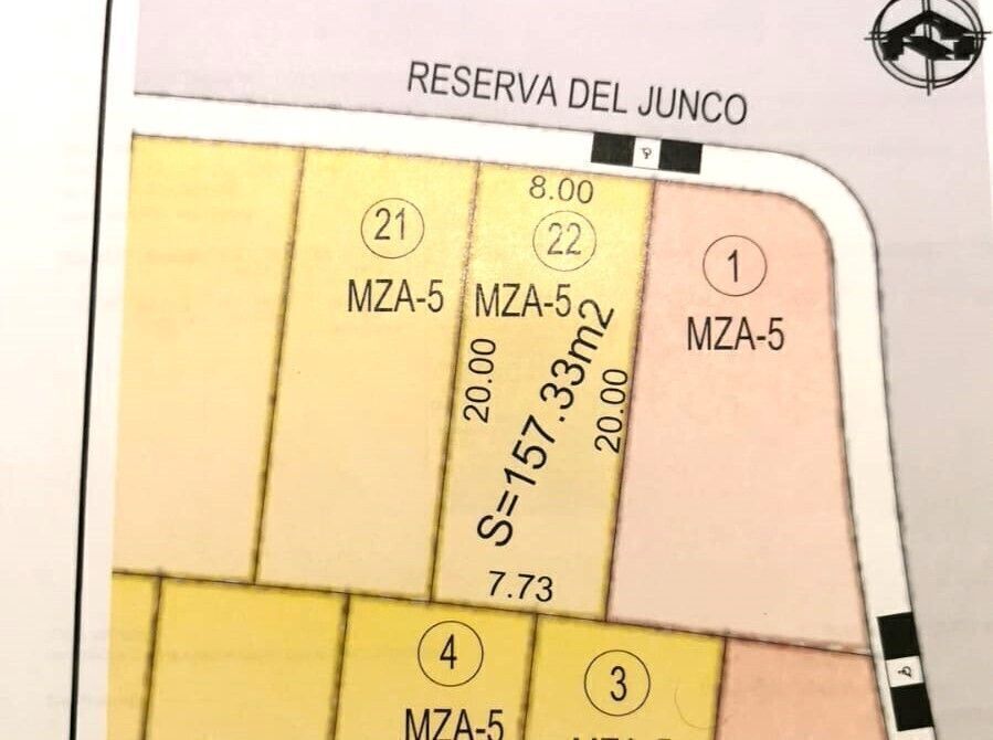 5 de 13