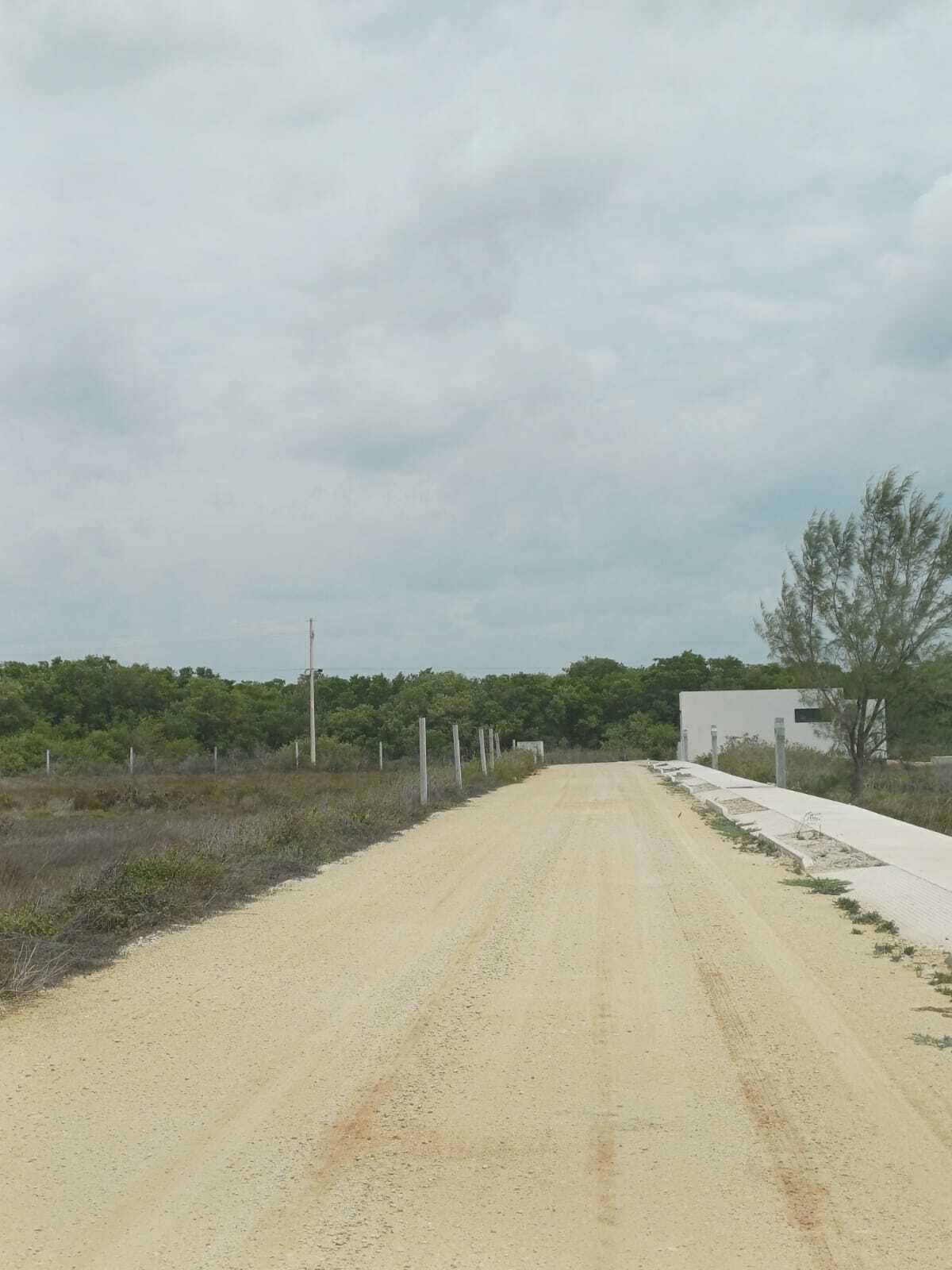 4 de 13