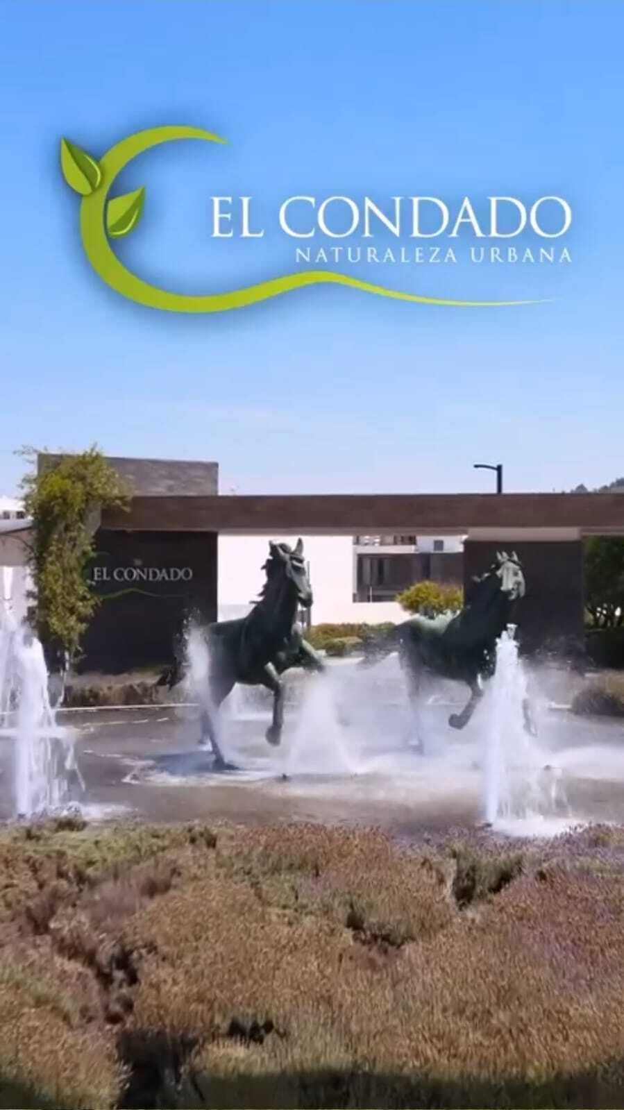 1 de 6
