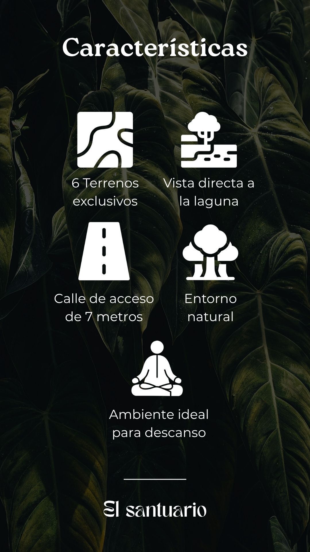 6 de 9