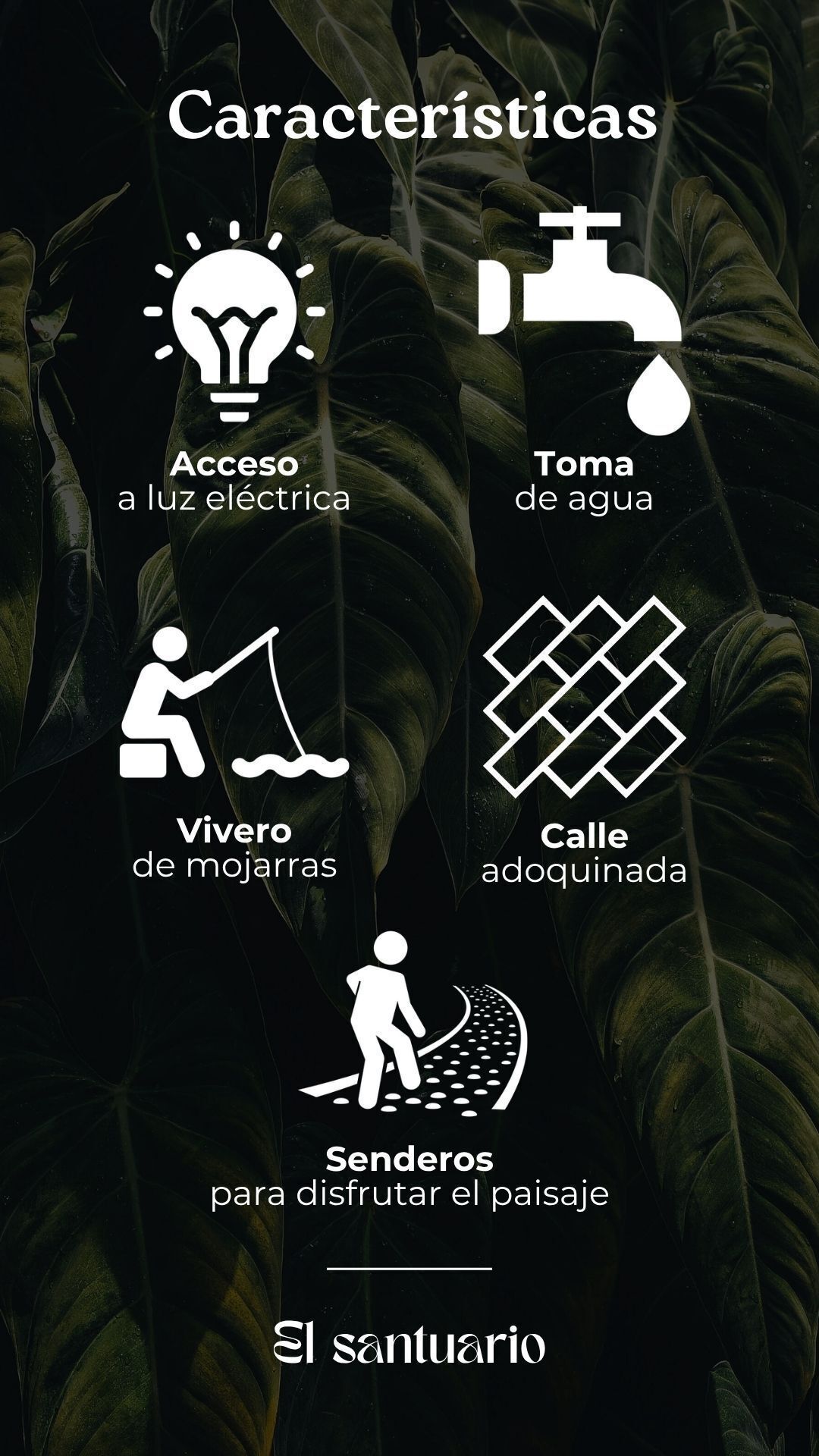 7 de 9