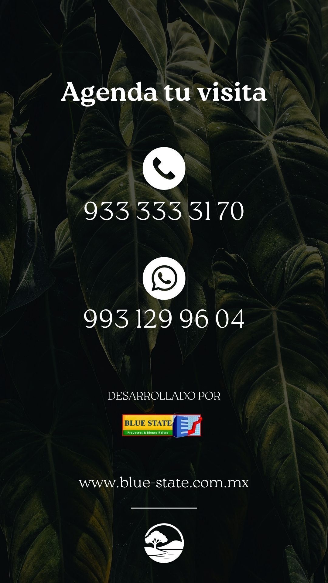 9 de 9