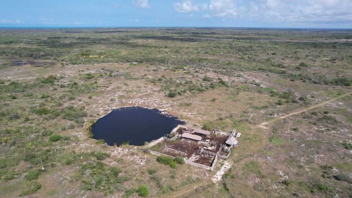 Imagen 4 de 5