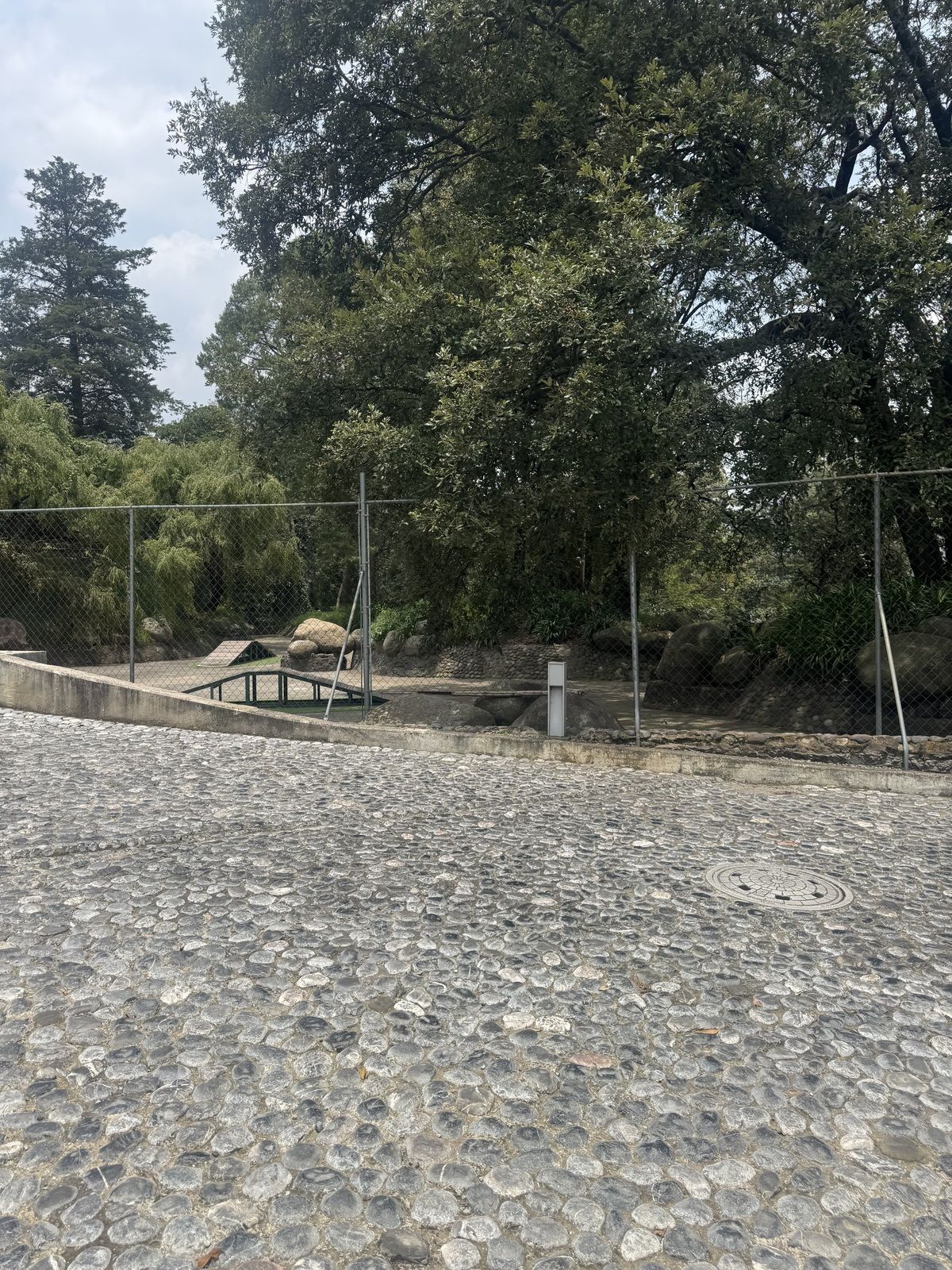 49 de 50