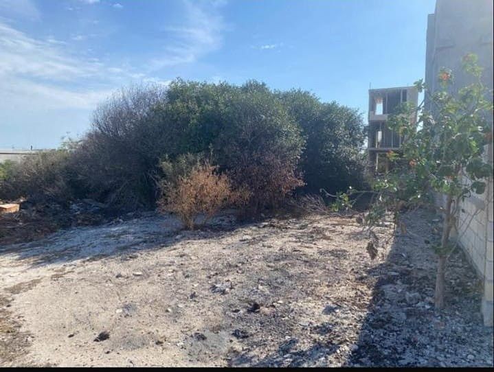 Terreno en Chicxulub Puerto, Progreso, foto 10 de 14