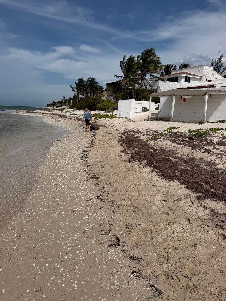 Terreno en Chicxulub Puerto, Progreso, foto 14 de 14