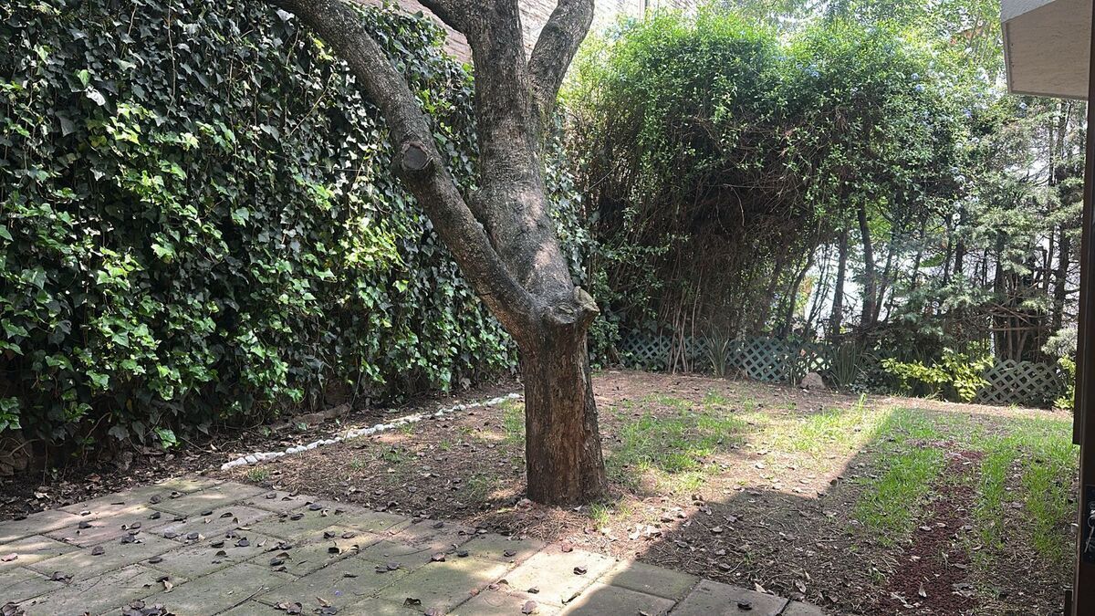 4 de 38: Jardín
