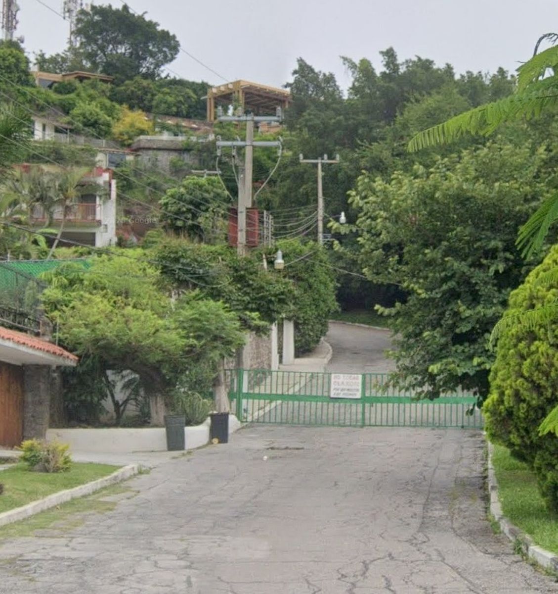 3 de 12