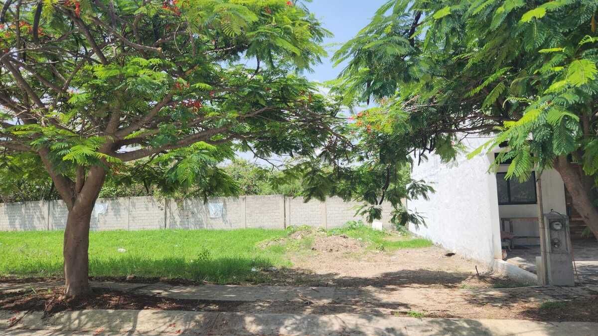 TERRENO EN VENTA EN ZONA SUR - foto 4