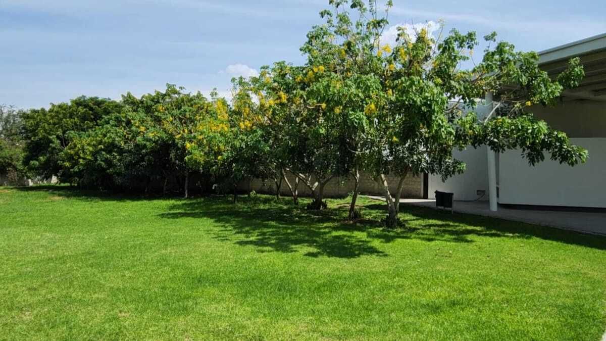 TERRENO EN VENTA EN ZONA SUR - foto 5