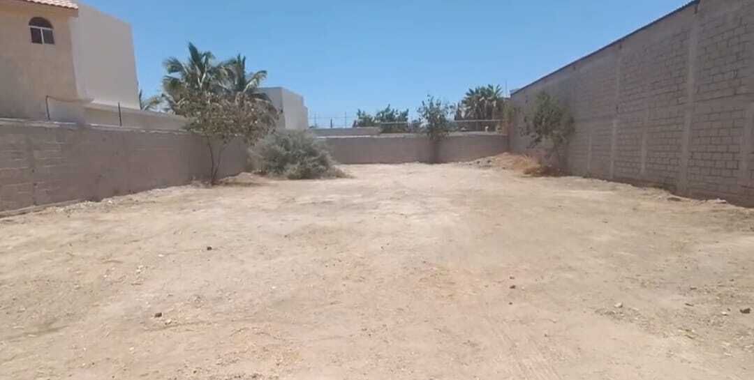 6 de 7