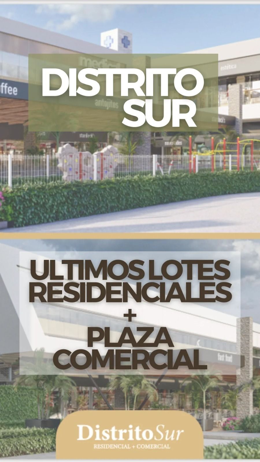 5 de 10