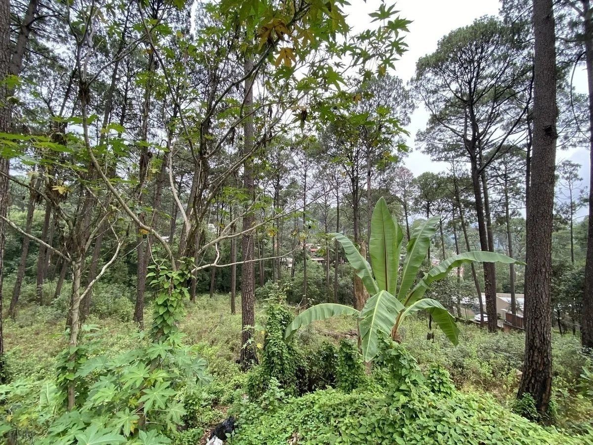 1 de 4