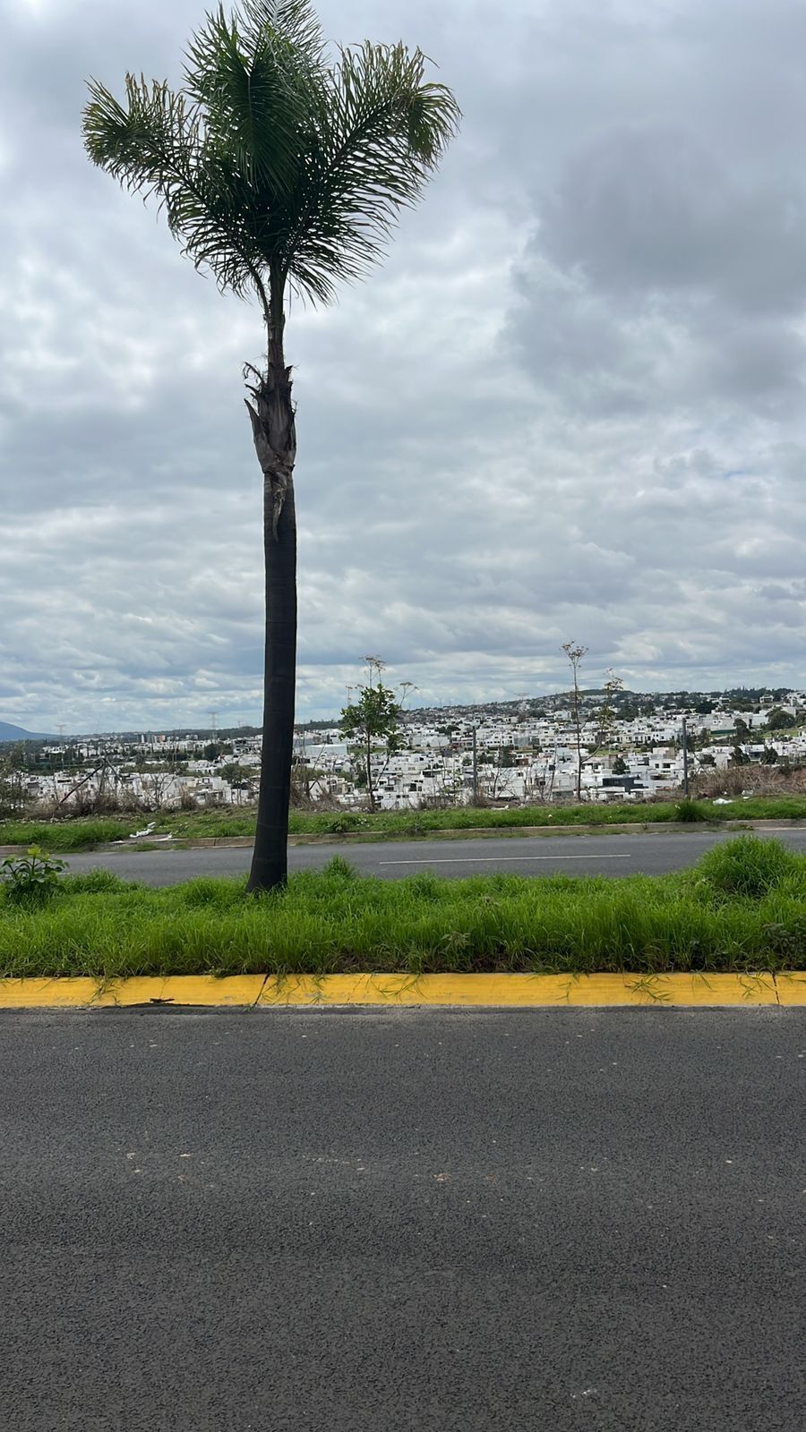 6 de 8