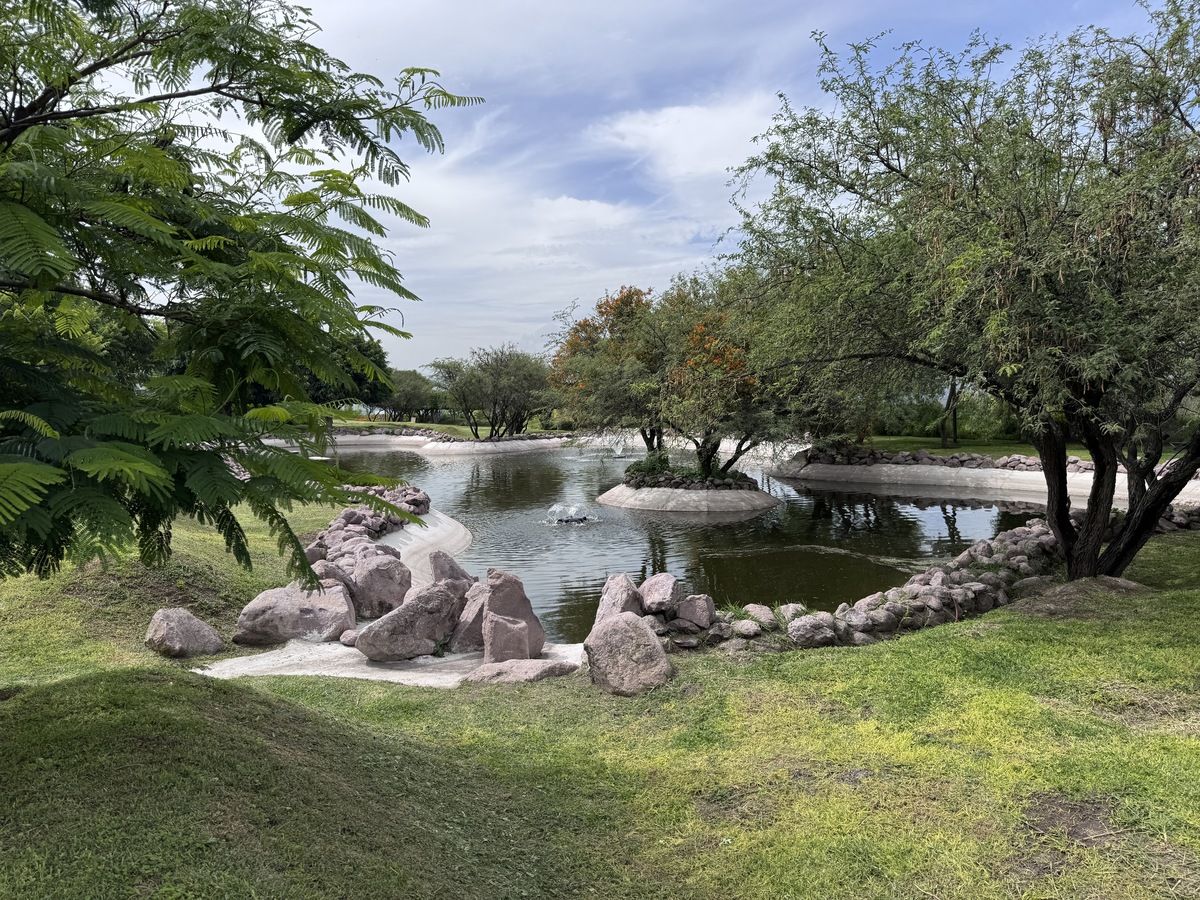 8 de 15: Lago con fuente