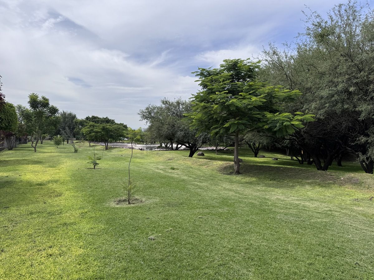 8 de 17: Vastas áreas verdes